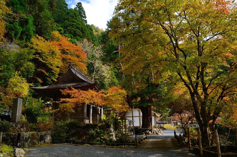 2017京都の紅葉･花背　峰定寺_f0032011_18041494.jpg