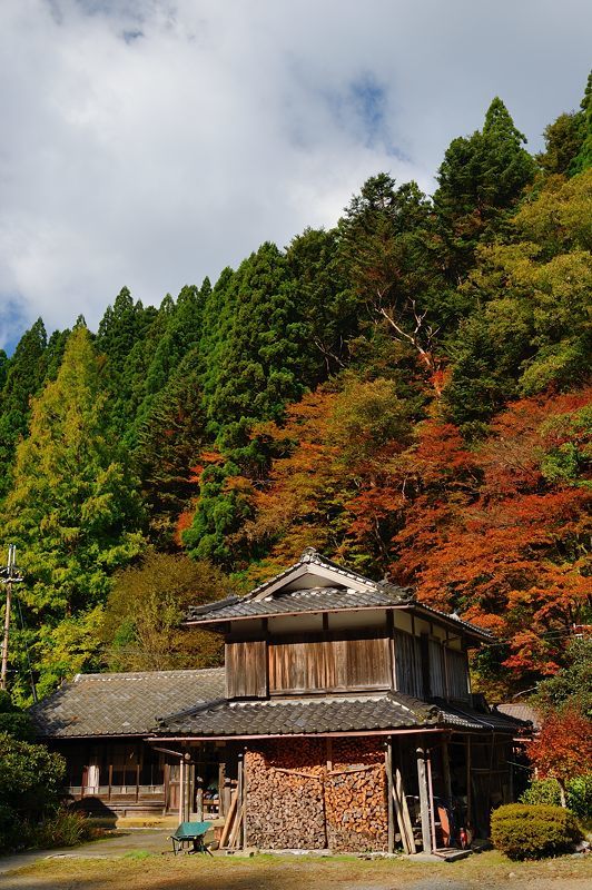 2017京都の紅葉･花背　峰定寺_f0032011_18041695.jpg