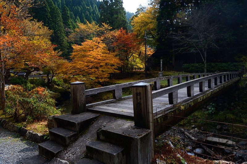 2017京都の紅葉･花背　峰定寺_f0032011_18332892.jpg