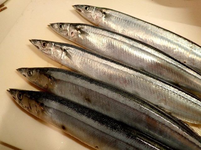 f0043911_15455701.jpg