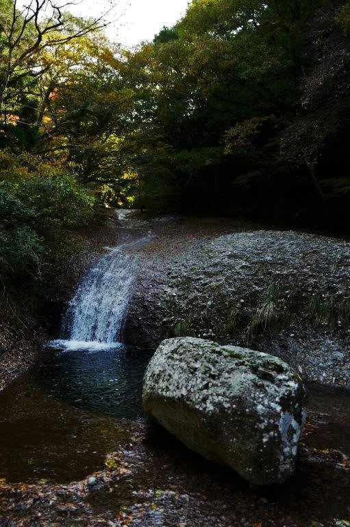 f0365212_07510321.jpg