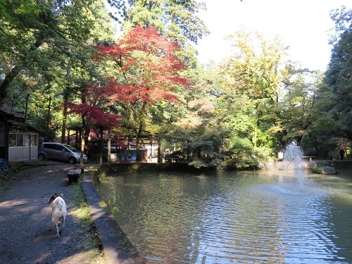 c0084117_19573832.jpg