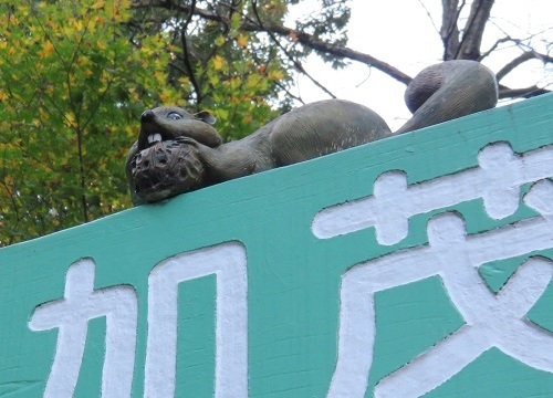 c0084117_20075881.jpg