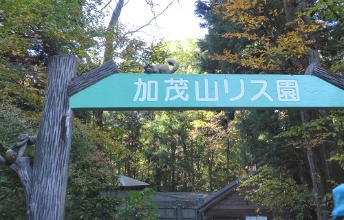 c0084117_20082238.jpg