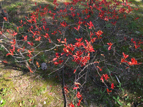 a0098418_09070031.jpg