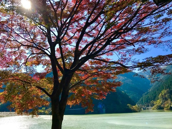 成木街道～名栗紅葉狩り。_b0194923_14423447.jpg