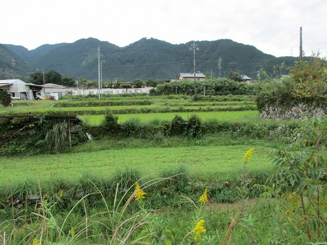e0321325_15343107.jpg