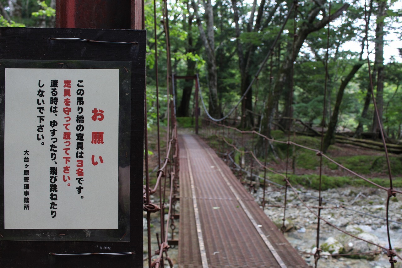 △あの大台ケ原へ 下_a0355629_22235221.jpg