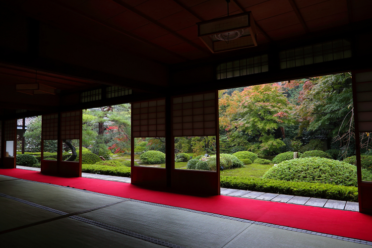 紅葉の泉涌寺 －雲龍院（前編）－_b0169330_031567.jpg