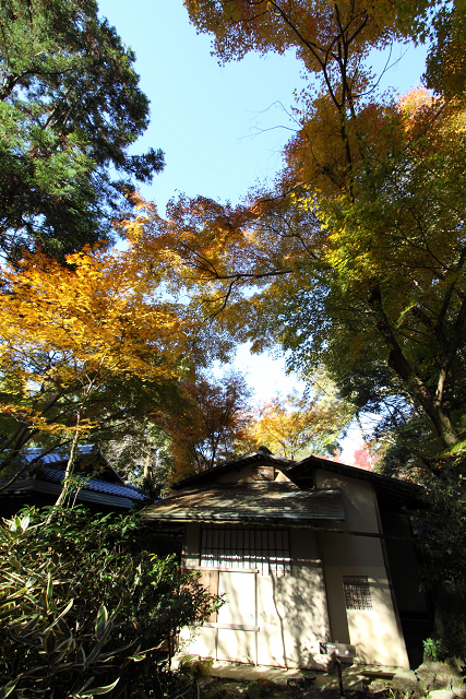 紅葉の泉涌寺 －来迎院－ _b0169330_21352030.jpg