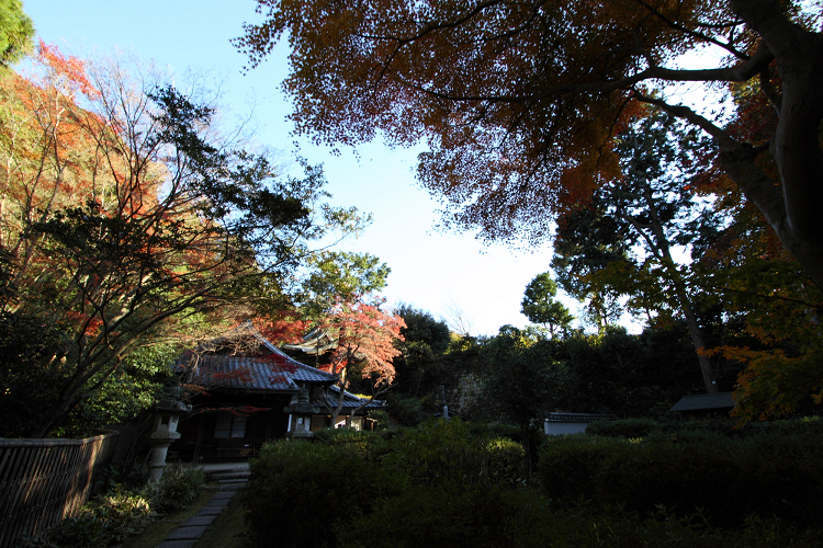 紅葉の泉涌寺 －来迎院－ _b0169330_23282568.jpg