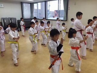 日曜空手　新琴似・新川教室_c0118332_14005650.jpeg