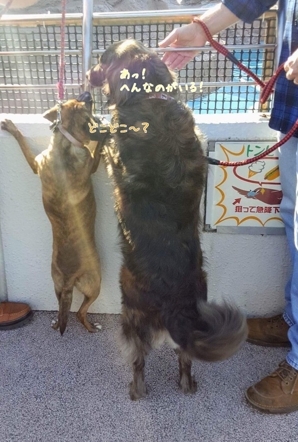 d0269832_08514621.jpeg