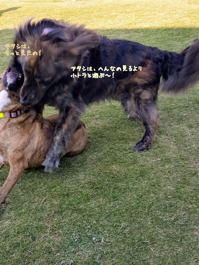 d0269832_08572205.jpeg