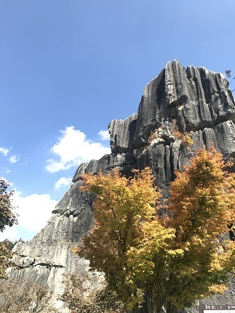 f0371533_14045337.jpg