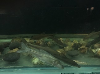 f0371533_17284785.jpg