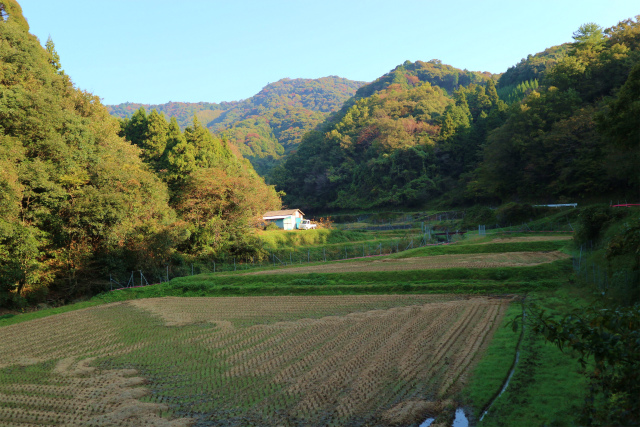 晩秋の里山歩きを楽しむ（白石山＆トギシ山）！_e0272335_1623892.jpg