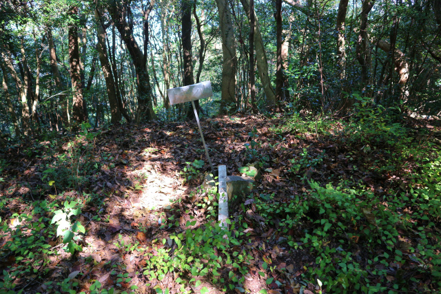 晩秋の里山歩きを楽しむ（白石山＆トギシ山）！_e0272335_17402984.jpg