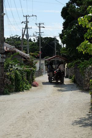 c0148238_22112723.jpg