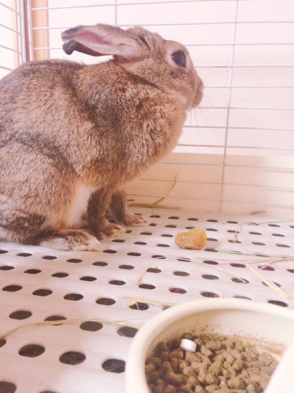 心配。。。_d0357243_20371270.jpeg