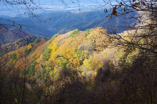 f0114346_09190277.jpg