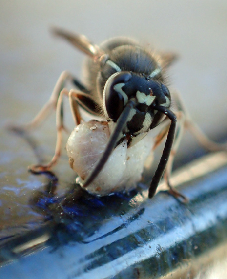 f0214649_04354119.jpg