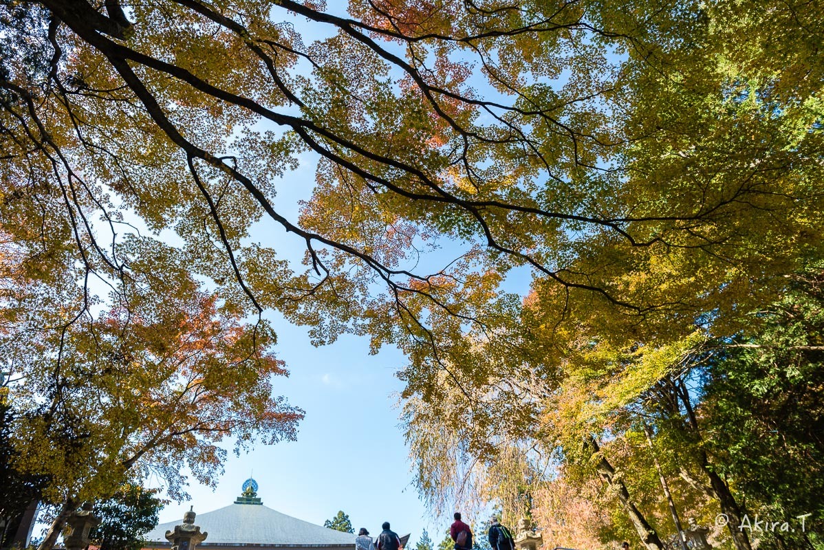 f0152550_18262481.jpg