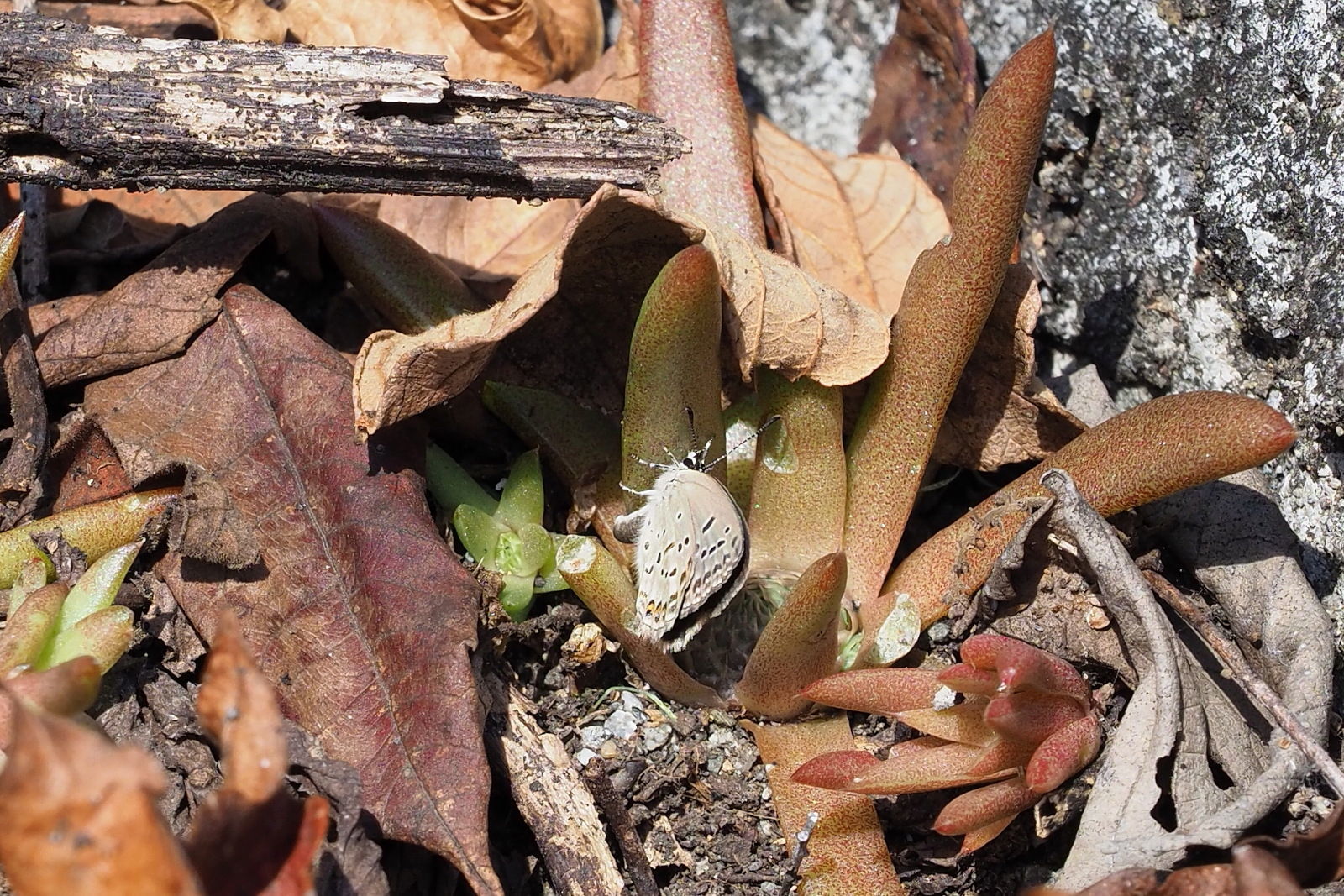 f0345350_11052877.jpg