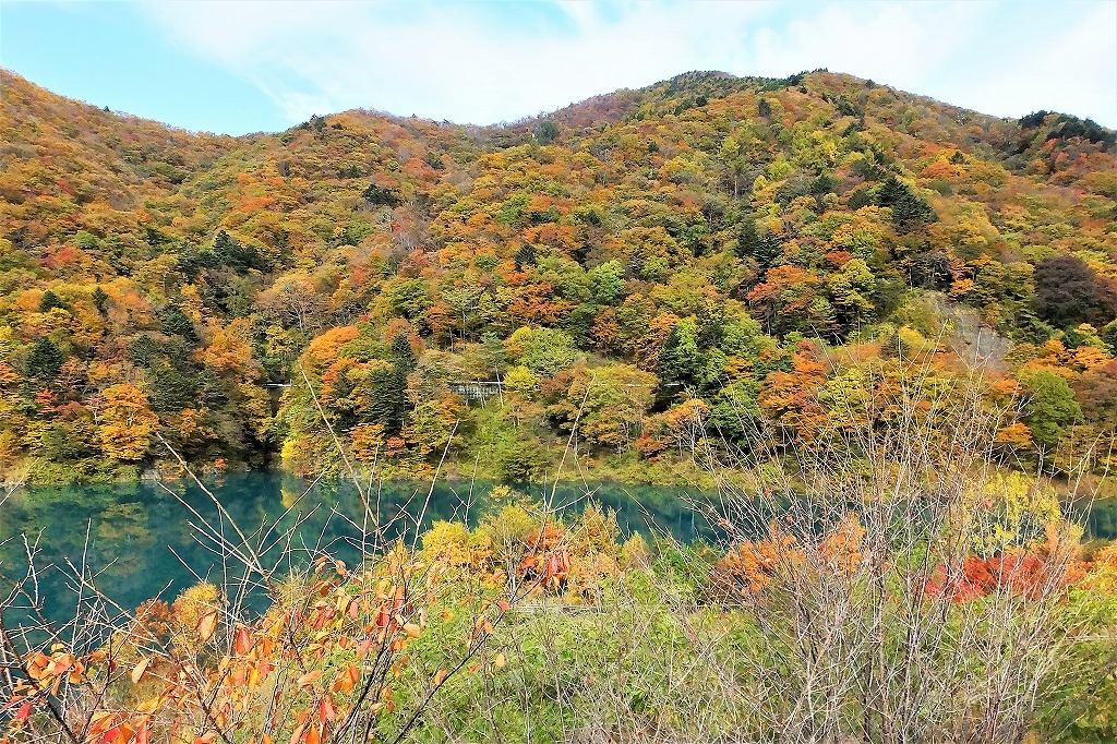 b0236251_11352381.jpg