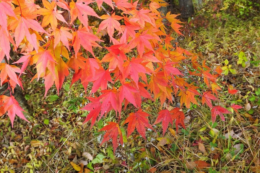 b0236251_11393573.jpg