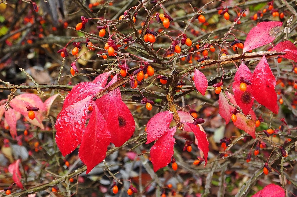 b0236251_11394100.jpg