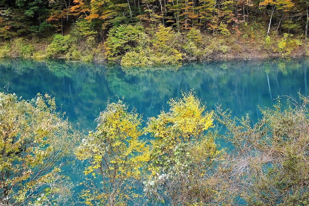 b0236251_11411681.jpg