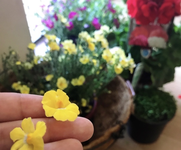 f0304452_16430638.jpeg