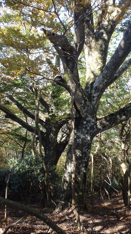 c0097754_10340218.jpg