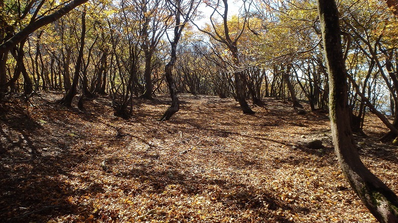c0097754_10345195.jpg