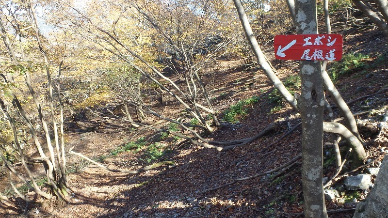 c0097754_10352866.jpg