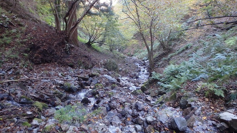 c0097754_10385249.jpg