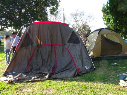 f0082356_22582443.jpeg