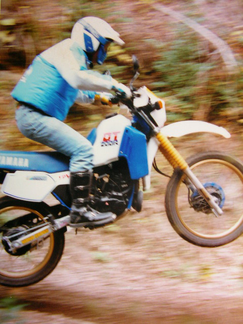 ヤマハDT125 書類有り 実働 オフロードバイク ヤマハ DT125 17F 書類