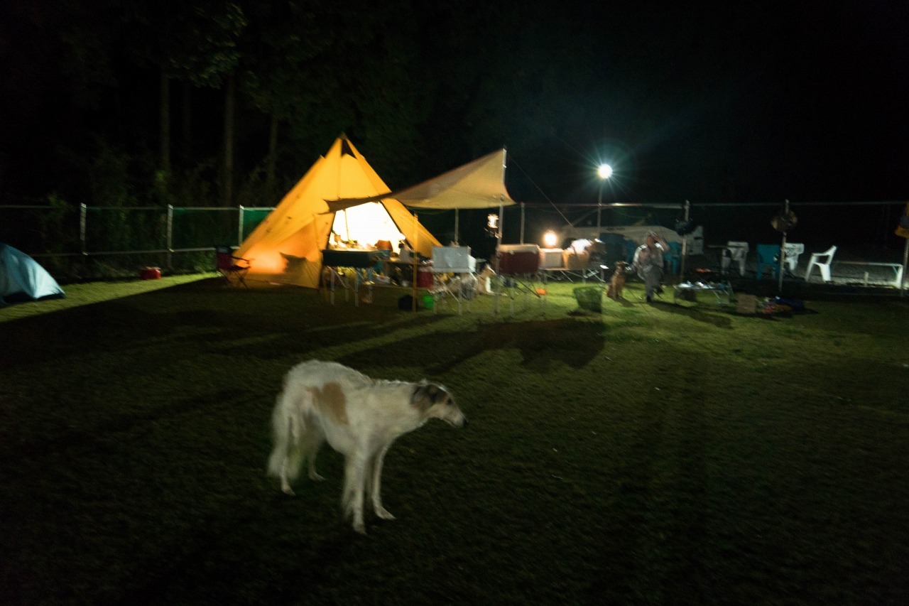 c0260264_19264768.jpg