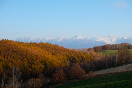 d0340565_20471233.jpg