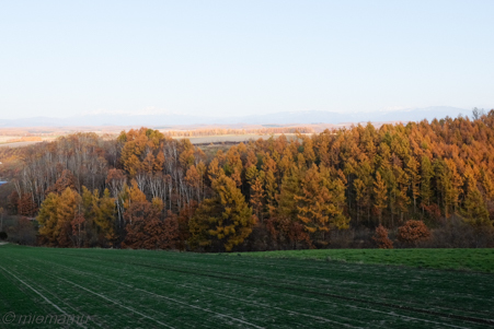 d0340565_20472097.jpg