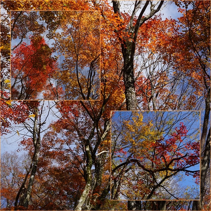 紅葉の裏英彦山へ・・・裏英彦山～紅葉谷周回（11月4日）。_f0016066_18141947.jpg