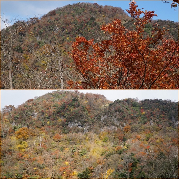 紅葉の裏英彦山へ・・・裏英彦山～紅葉谷周回（11月4日）。_f0016066_18184942.jpg