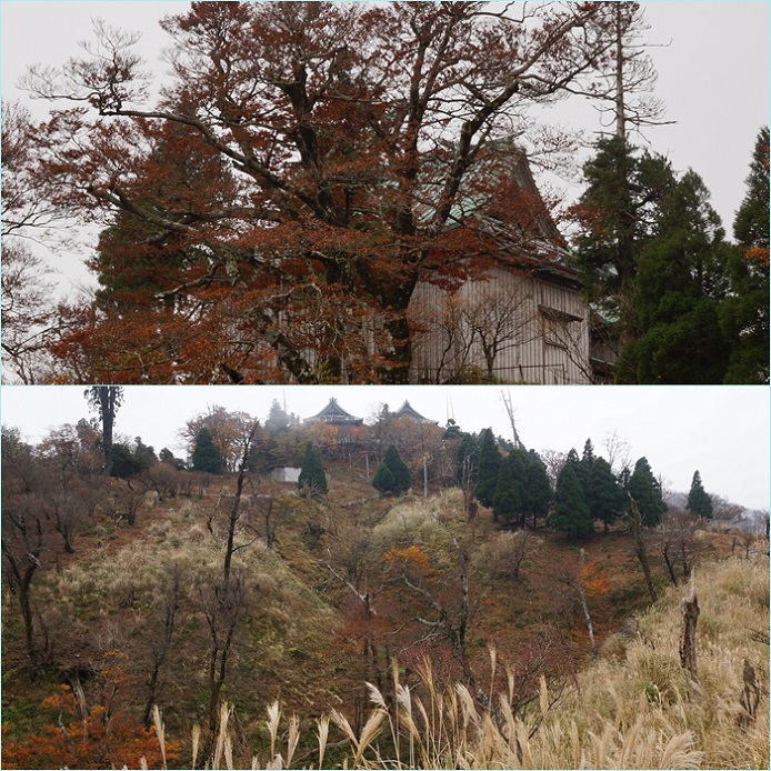 紅葉の裏英彦山へ・・・裏英彦山～紅葉谷周回（11月4日）。_f0016066_18221773.jpg