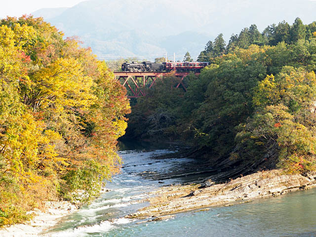 f0199866_22240438.jpg