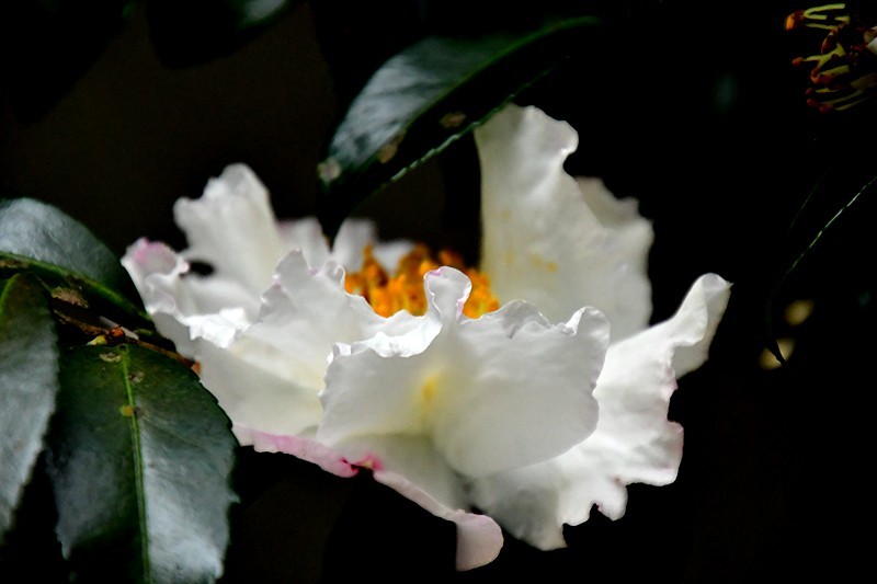 f0214467_10122193.jpg