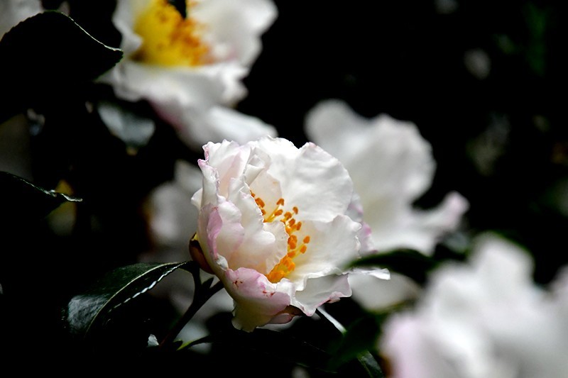 f0214467_10125070.jpg