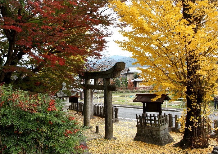 ☆　武並神社の狛犬　☆_f0181173_20020835.jpg