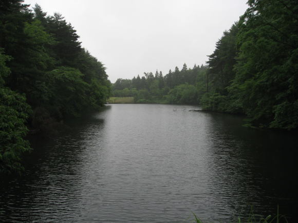 青森三沢のモノサシ!_a0268377_20291670.jpg